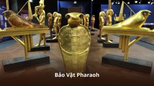 Bảo Vật Pharaoh – Thế Giới Giải Trí Đậm Chất Huyền Bí Và Phiêu Lưu