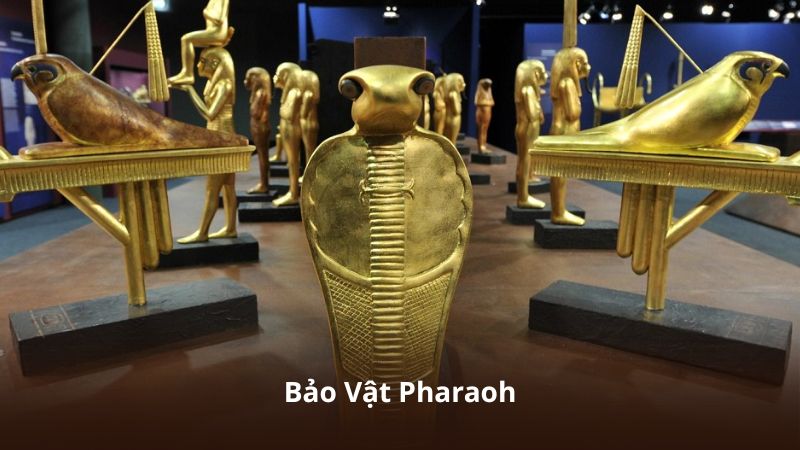 Bảo Vật Pharaoh – Thế Giới Giải Trí Đậm Chất Huyền Bí Và Phiêu Lưu